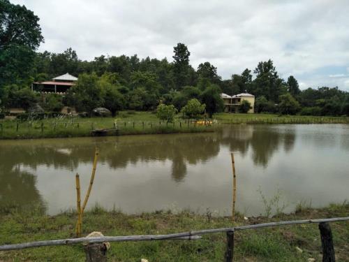 Hotel Kanha Resort