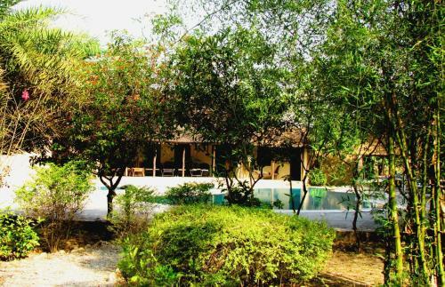 Hotel Jim's Jungle Retreat