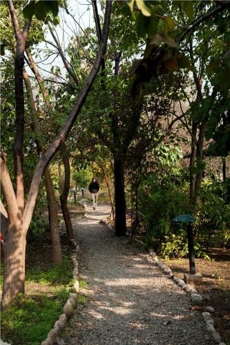 Hotel Jim's Jungle Retreat