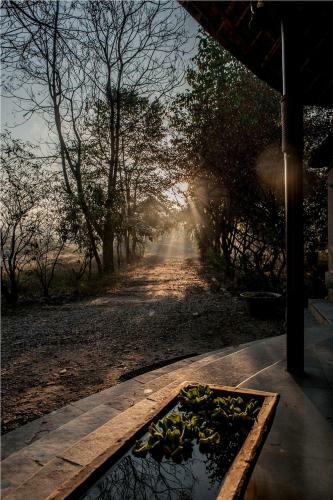 Hotel Jim's Jungle Retreat