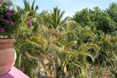 Hotel Casa Mar�a Resort