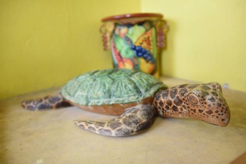 Hostal Cancun Guest House 1