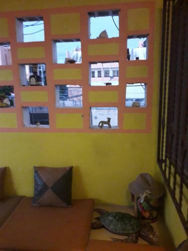 Hostal Cancun Guest House 1