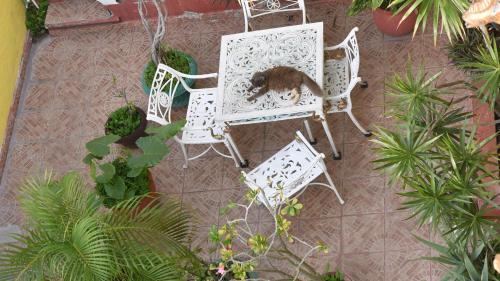 Hostal Cancun Guest House 6