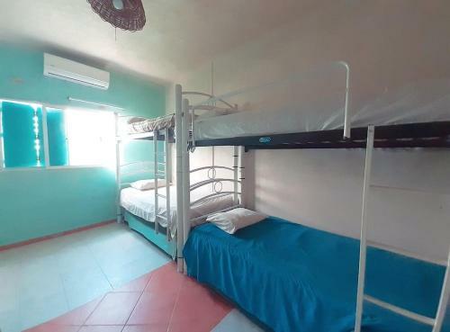 Apartamento Habitacion 2c