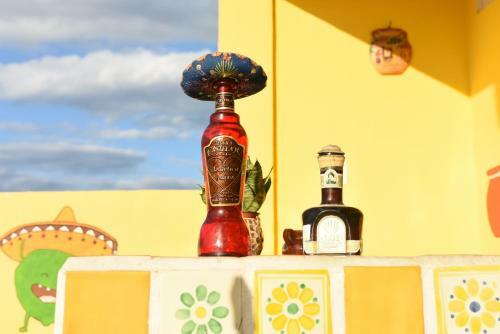 Hostal Cancun Guest House 5