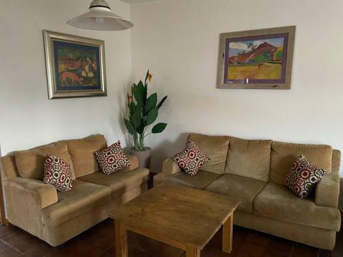 Apartamento C�ntrica Suite Ubicada Av Zaragoza B31