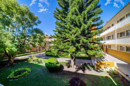 Apartamento C�ntrica Suite Ubicada Av Zaragoza B31