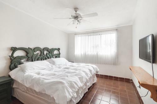 Apartamento Suite Inmejorable Ubicaci�n Zaragoza A33
