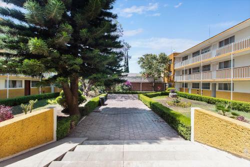 Apartamento C�moda Suite C�ntrica El Prado A37