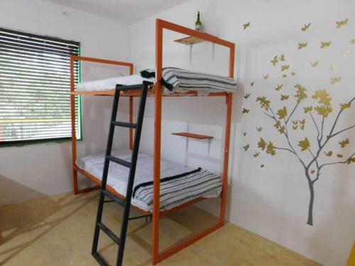 Albergue Chakpool Hostal & Camping