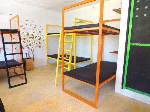 Albergue Chakpool Hostal & Camping