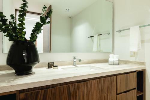 Apartamento Amazing Huge 2br/2.5ba In Polanco!