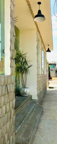 C�lido Cosmos Hotel