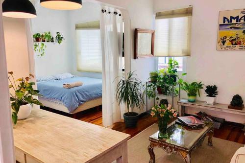 Apartamento Cozzy Studio In Condesa, Mexico Df