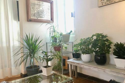Apartamento Cozzy Studio In Condesa, Mexico Df