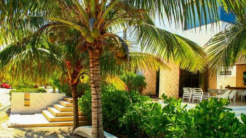 Andros Near Chicxulub Yucatan