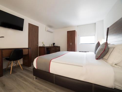 Hotel Suites Arboleda 215