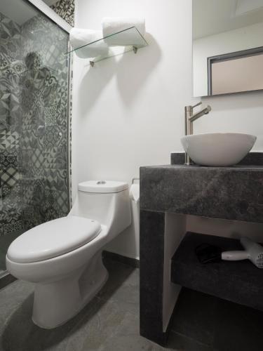 Hotel Suites Arboleda 215