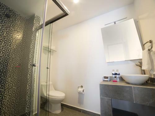 Hotel Suites Arboleda 215