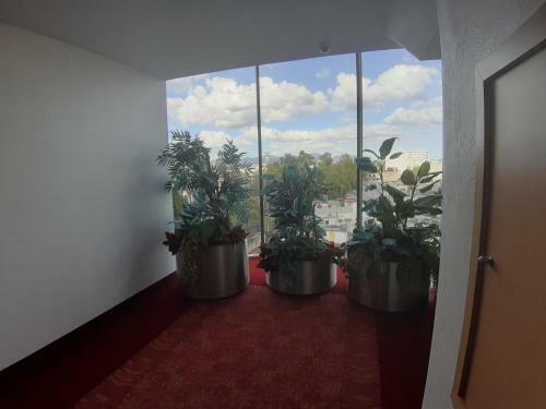 Auto Hotel Legaria