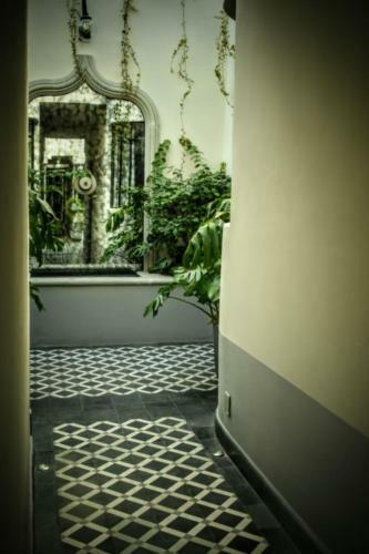 Quiet Apartment In The Heart Of Cdmx (C)