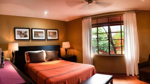 Bed & Breakfast The Red Tree House