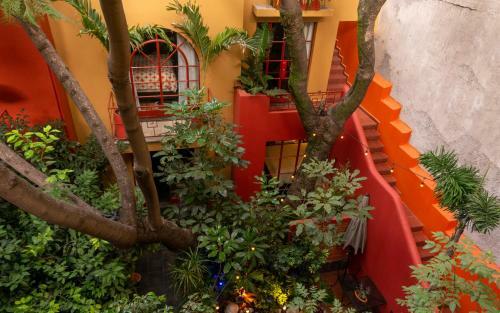 Bed & Breakfast The Red Tree House