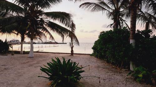 Hotel Machos Mahahual