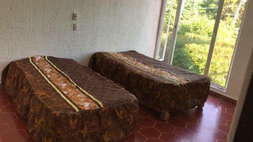 Casa Economica Con Alberca Privada