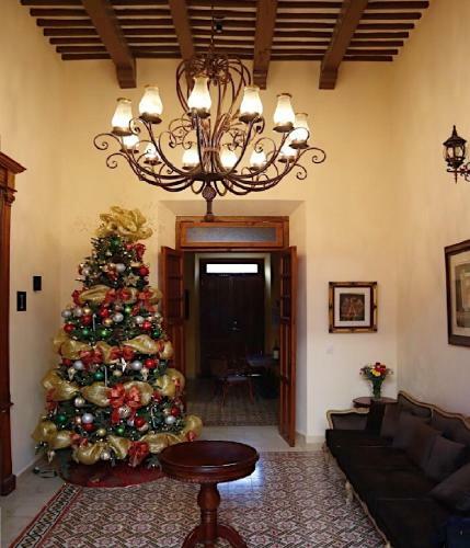 Hotel & Hostal Boutique Casa Garza