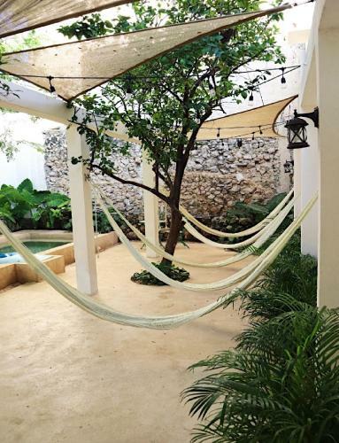 Hotel & Hostal Boutique Casa Garza