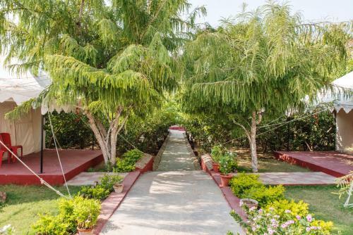Hotel Ranthambhore National Regency