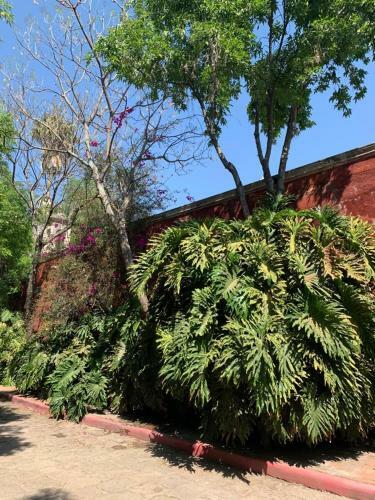 Hotel Hacienda Tzintzimeo