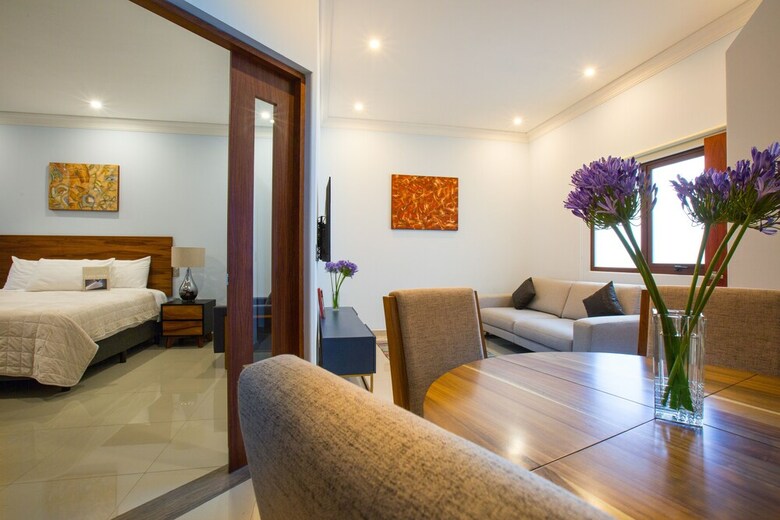 Hotel Suites De La Parra