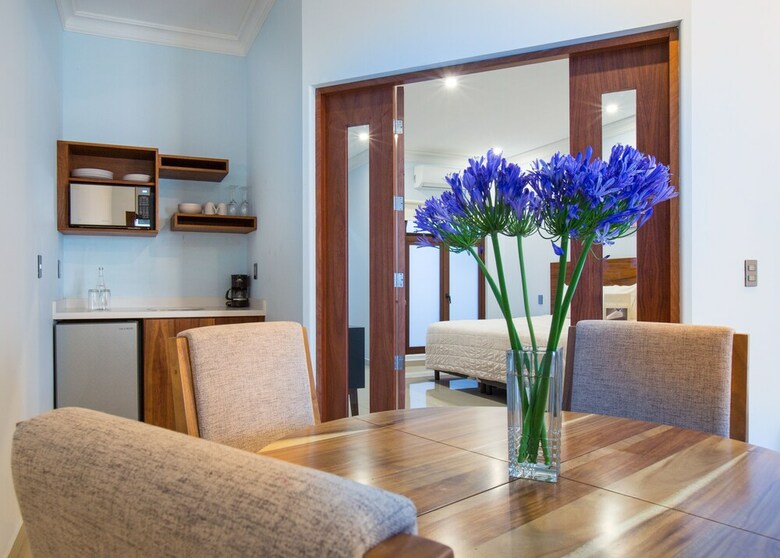 Hotel Suites De La Parra