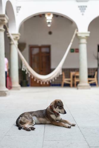 Hotel Grana B&B