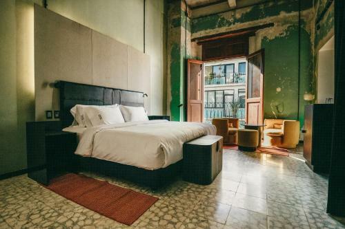 Hotel Pug Seal Oaxaca