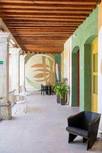 Hotel Pug Seal Oaxaca