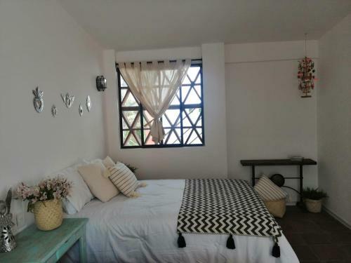 Hotel Casa Olivia Oaxaca
