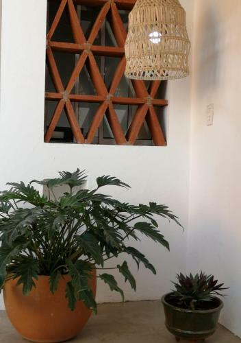 Hotel Casa Olivia Oaxaca