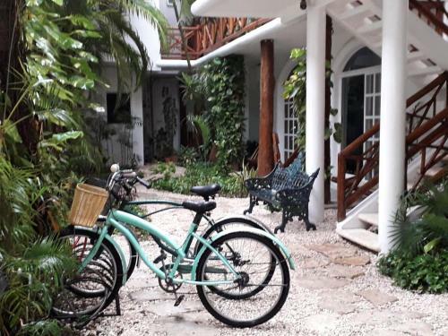 Apartamento Estudios Selva Y Mar Playa Del Carmen By Bfh