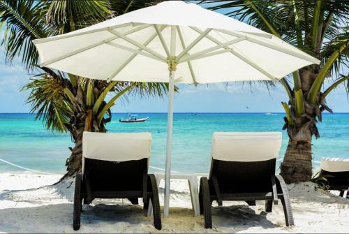 Apartamento Estudios Selva Y Mar Playa Del Carmen By Bfh