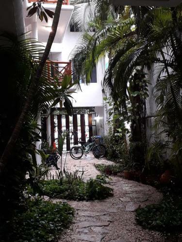 Apartamento Estudios Selva Y Mar Playa Del Carmen By Bfh