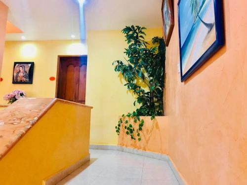 Hostal Sunset Room In Stunning Villa Playacar Townhouse Stage 2
