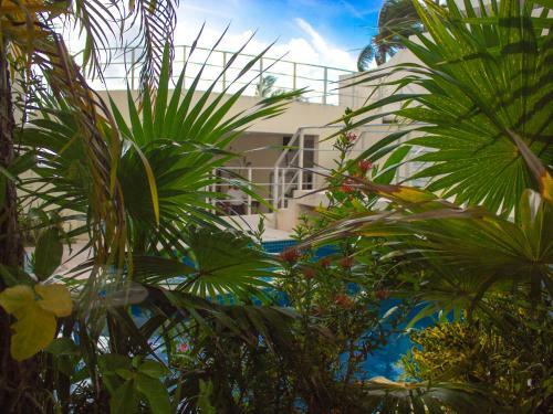 Playa Maya By Mij - Beachfront Hotel