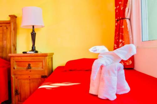 Hostal Executive Budget Room With Swimming Pool Air Conditioning And Parking