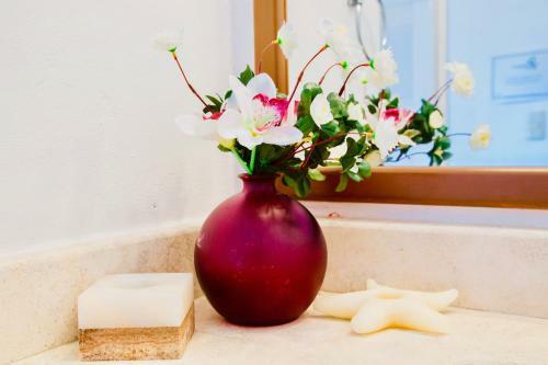 Hostal Executive Budget Room With Swimming Pool Air Conditioning And Parking