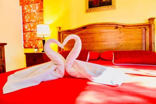 Hostal Executive Budget Room With Swimming Pool Air Conditioning And Parking