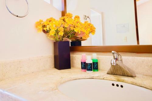 Hostal Executive Budget Room With Swimming Pool Air Conditioning And Parking